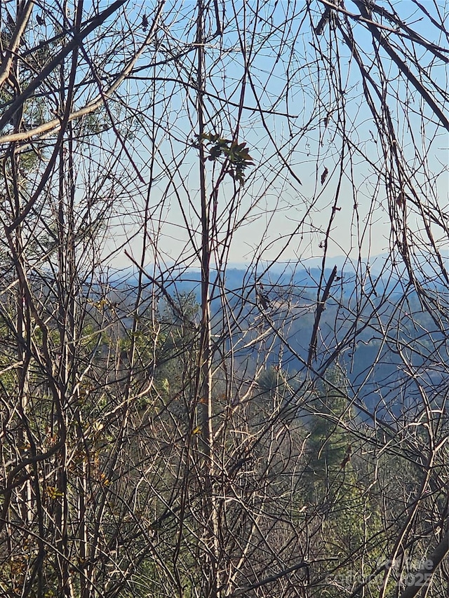 view of mountain feature