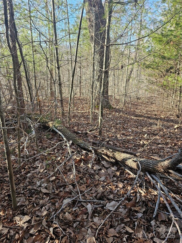 view of landscape featuring a forest view