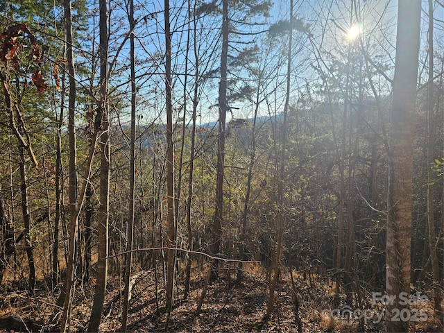 view of nature featuring a view of trees