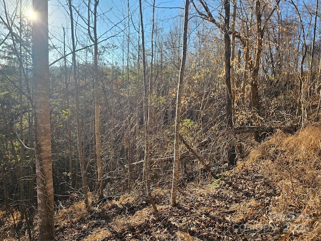 view of local wilderness with a forest view