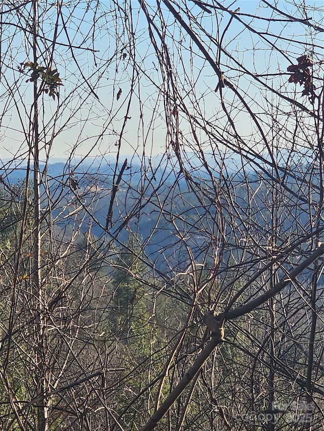 view of mountain feature