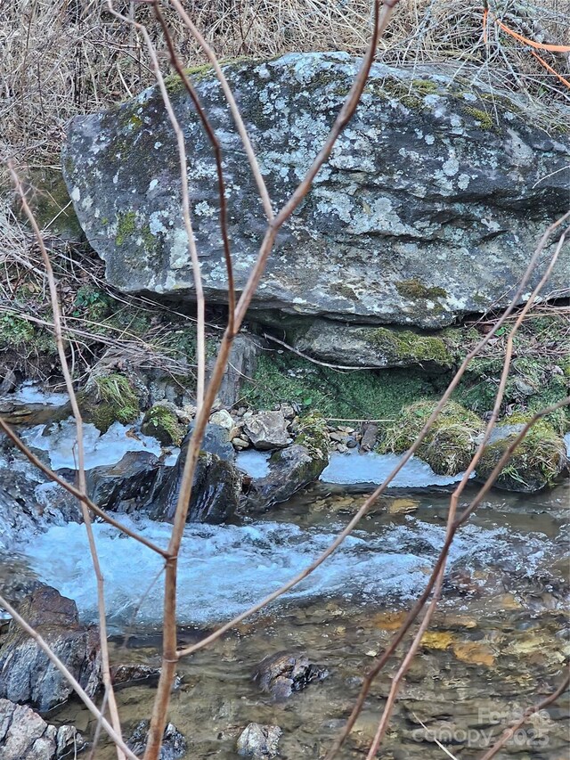 view of local wilderness