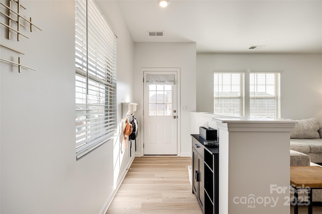 kitchen with a healthy amount of sunlight and light wood-type flooring