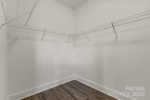 5177 Flay Rd, Lincolnton, NC 28021 - walk in closet with dark wood-style flooring