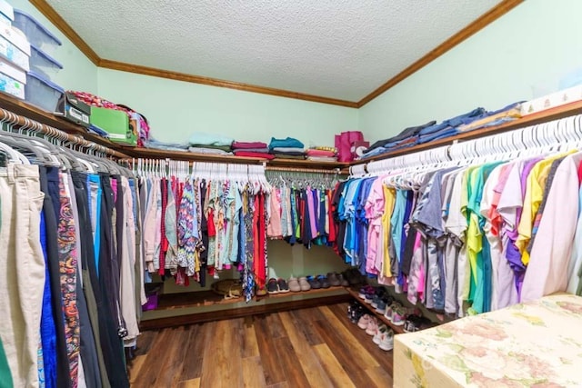 walk in closet with dark hardwood / wood-style floors