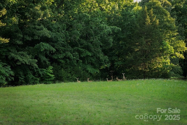 4816 Zion Church Rd, Concord, NC 28025 - view of woods
