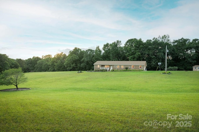 4816 Zion Church Rd, Concord, NC 28025 - view of green lawn