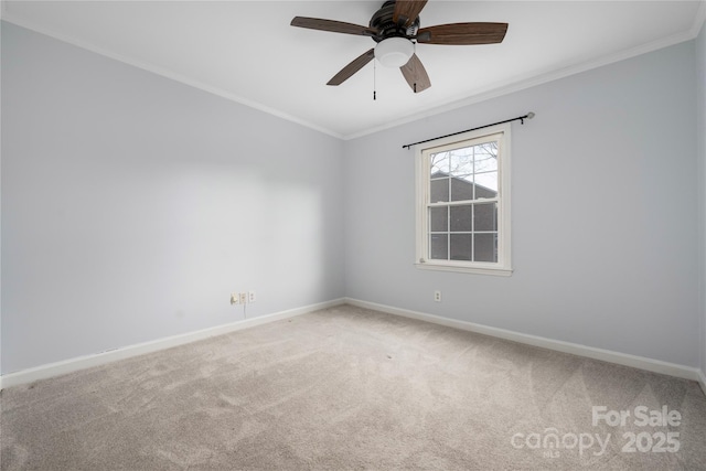 unfurnished room featuring crown molding, ceiling fan, and carpet flooring