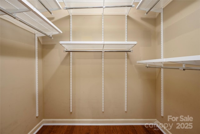 walk in closet with dark hardwood / wood-style flooring