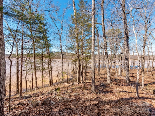 98 Great N Rd, Winnsboro SC, 29180 land for sale