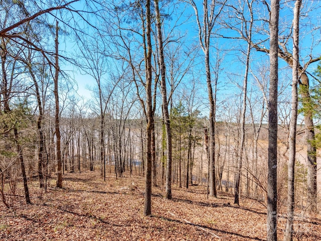 98 Great N Rd, Winnsboro, SC 29180