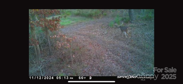 98 Great N Rd, Winnsboro, SC 29180