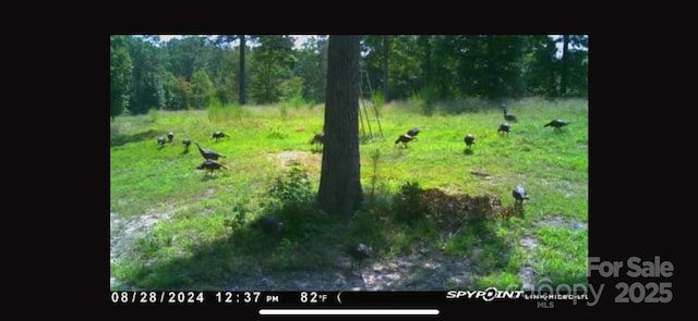 98 Great N Rd, Winnsboro, SC 29180