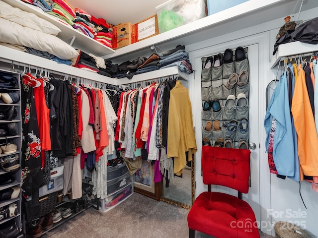 spacious closet featuring carpet