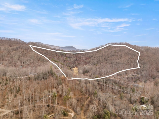 460 Jaynes Cove Rd, Waynesville NC, 28785 land for sale