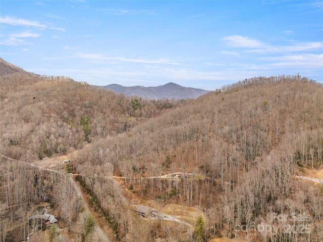 Listing photo 2 for 460 Jaynes Cove Rd, Waynesville NC 28785