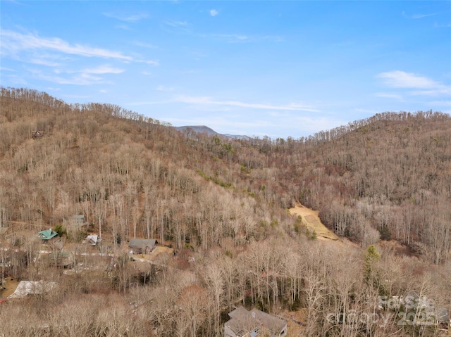 Listing photo 3 for 460 Jaynes Cove Rd, Waynesville NC 28785