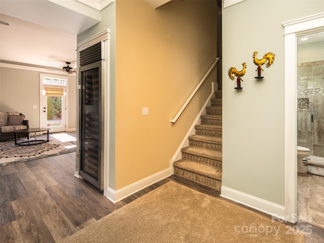 stairs with hardwood / wood-style flooring, beverage cooler, and ceiling fan