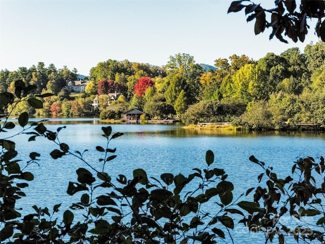 property view of water