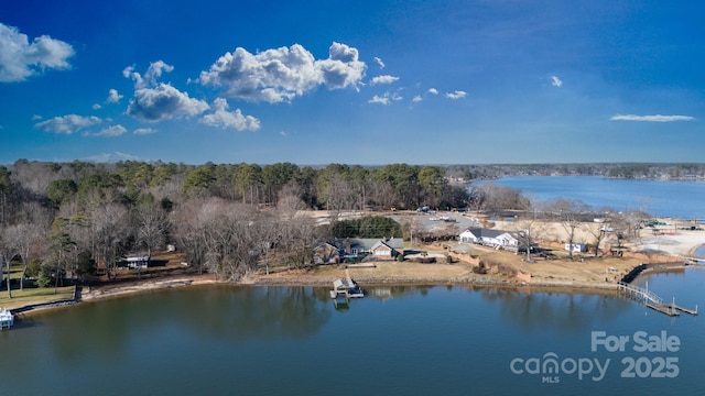 property view of water