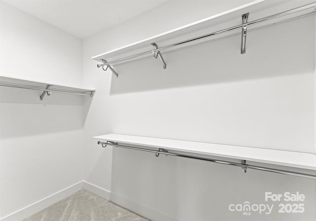 spacious closet featuring light colored carpet