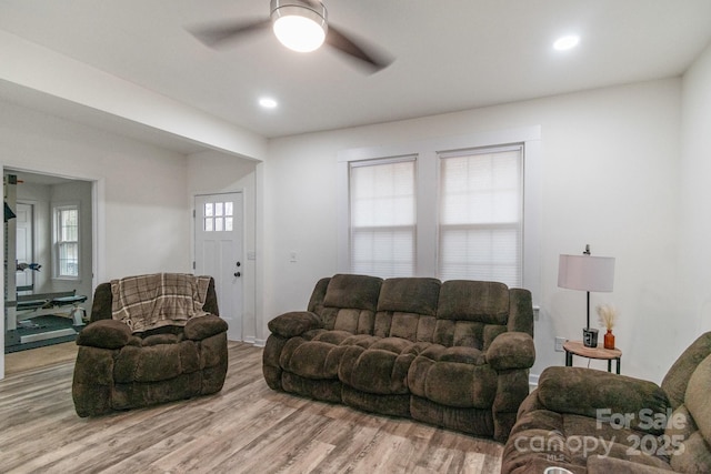 living room with ceiling fan and light hardwood / wood-style flooring