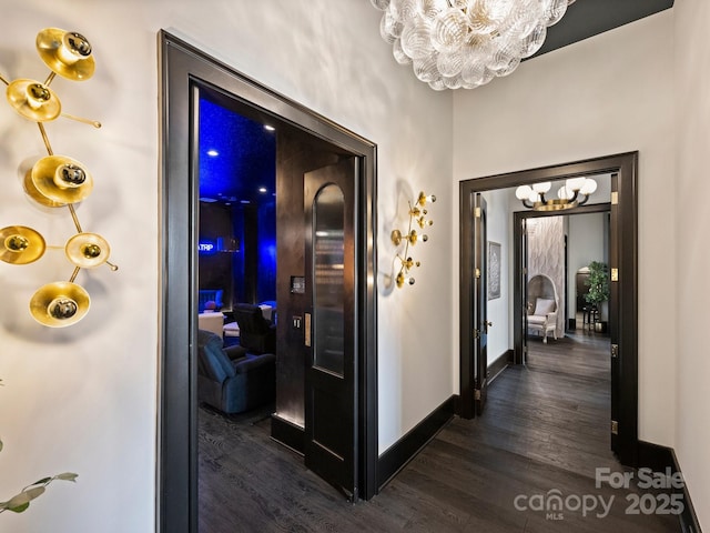 hallway featuring dark wood-type flooring