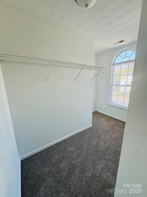 walk in closet featuring carpet