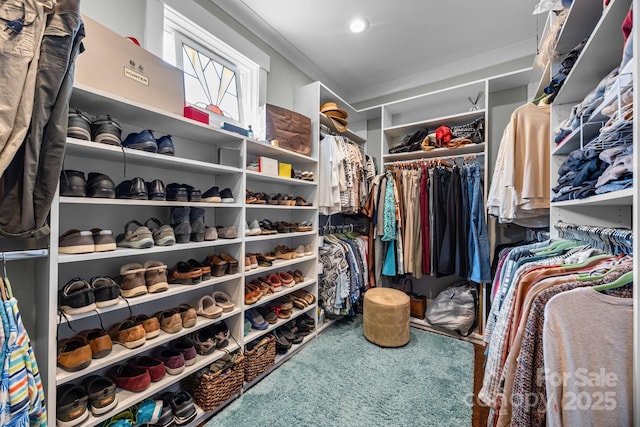 walk in closet featuring carpet floors