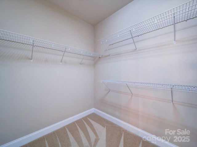 walk in closet with carpet