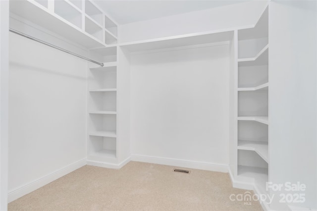 spacious closet with carpet floors