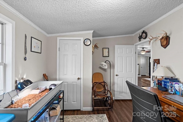 office featuring crown molding, dark hardwood / wood-style floors, and a textured ceiling