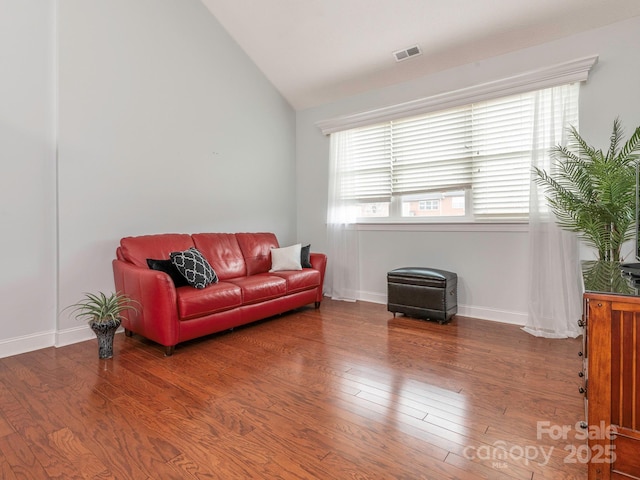 living room featuring wood-type flooring and lofted ceiling