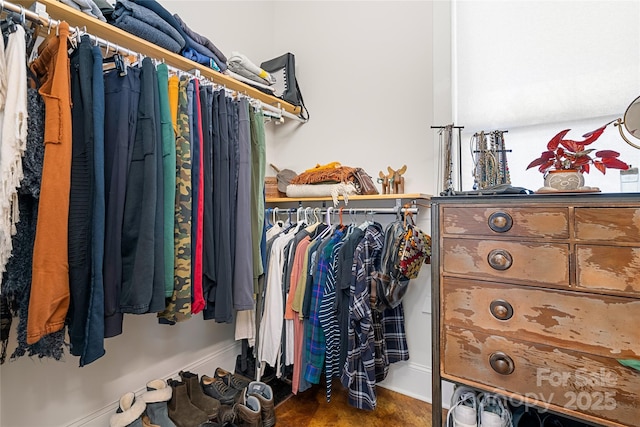 view of walk in closet