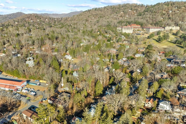 birds eye view of property featuring a mountain view