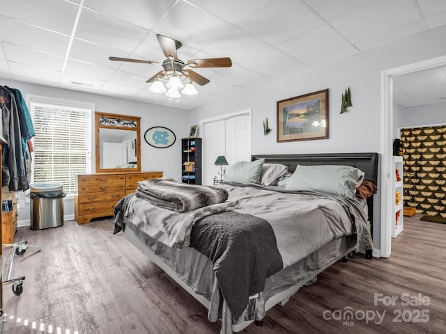 bedroom featuring ceiling fan, wood-type flooring, a closet, and a drop ceiling