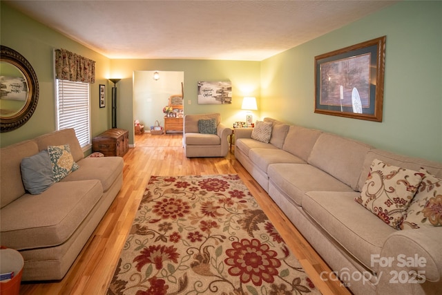 living room featuring light wood-type flooring