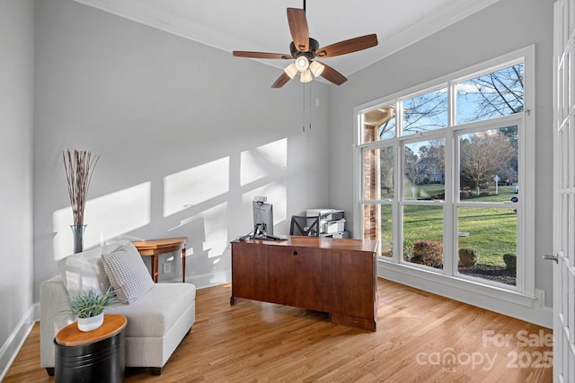 office space featuring baseboards, ceiling fan, ornamental molding, and light wood-style floors