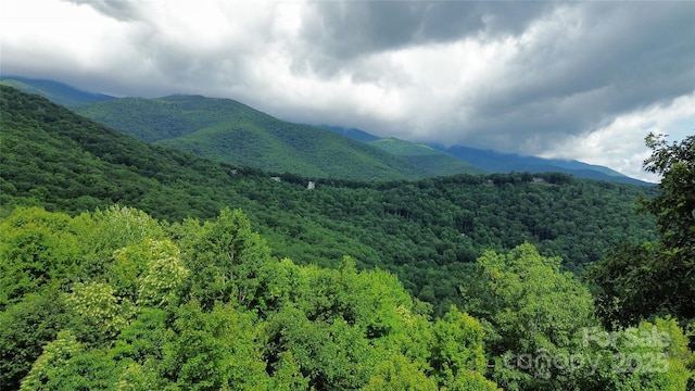 view of mountain feature