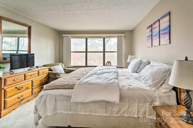 bedroom featuring multiple windows, a textured ceiling, and carpet