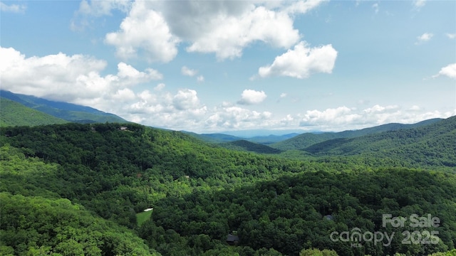 property view of mountains