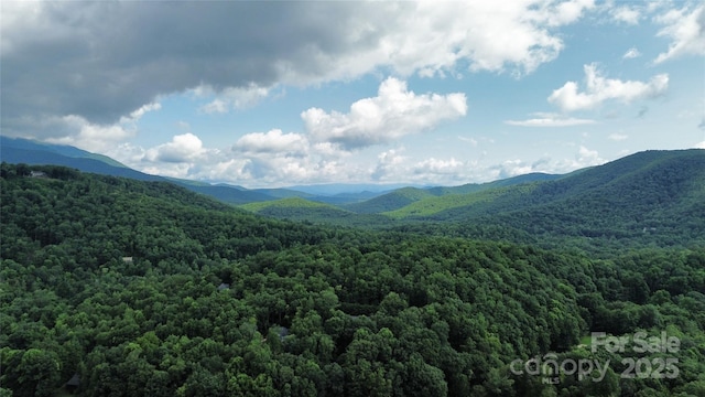 view of mountain feature