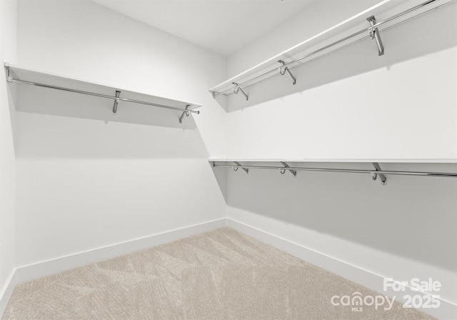 walk in closet featuring light colored carpet