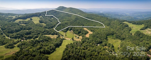 TBD Flat Springs Rd, Elk Park NC, 28622 land for sale