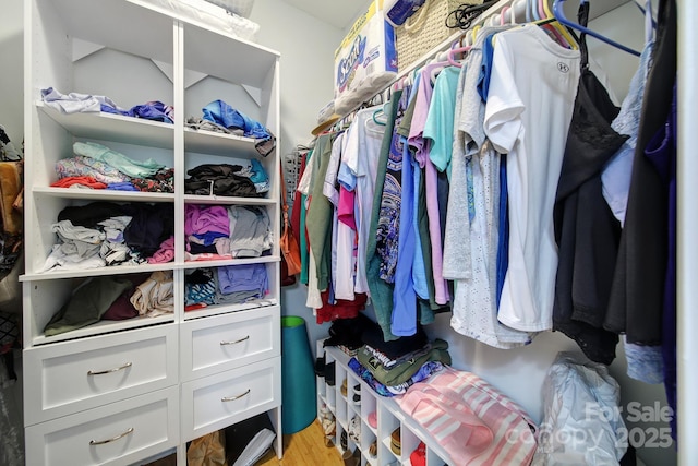 spacious closet featuring light hardwood / wood-style flooring