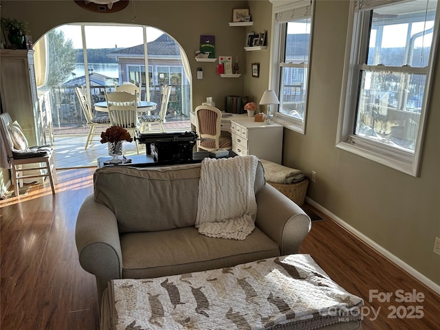 living room featuring hardwood / wood-style floors and plenty of natural light