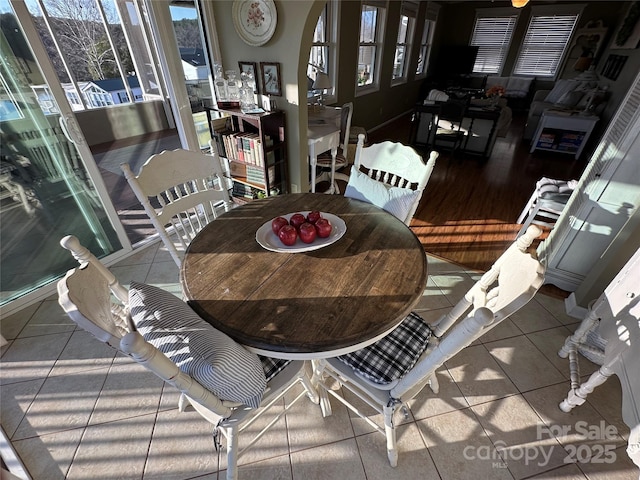 dining space featuring a healthy amount of sunlight and tile patterned floors