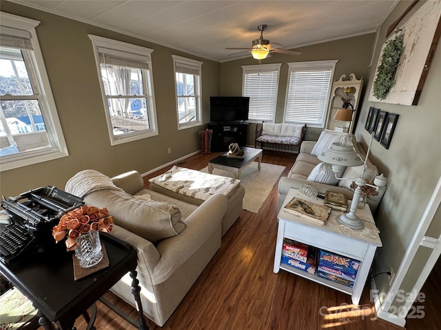 living room featuring crown molding, dark hardwood / wood-style floors, and a healthy amount of sunlight