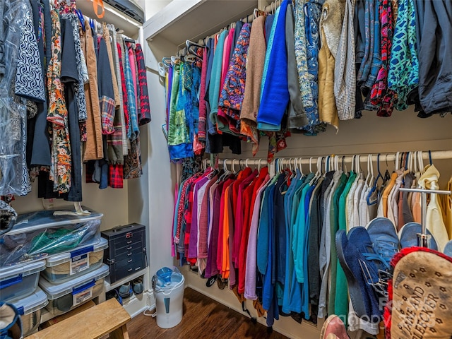 walk in closet featuring hardwood / wood-style flooring