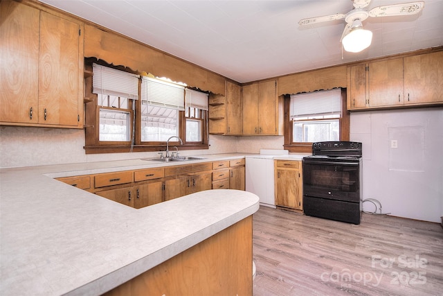 kitchen featuring plenty of natural light, sink, light hardwood / wood-style flooring, and black range with electric cooktop